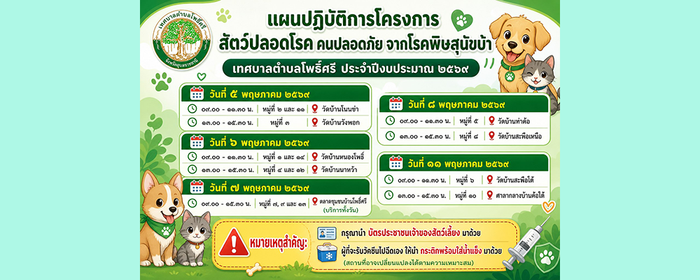slide_file_12.webp